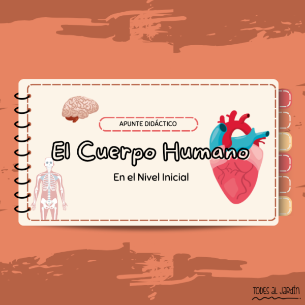 Z AP. DID: Cuerpo Humano PRODUCTO