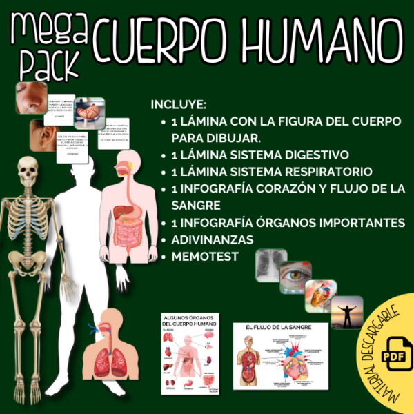 Cuerpo Humano - MEGA PACK PDF