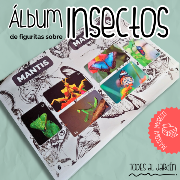 Álbum y Figuritas de Insectos - Pack IMPRESO x20 unidades - Imagen 2