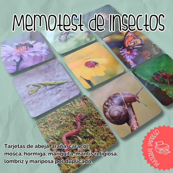 Memotest de Insectos - IMPRESO