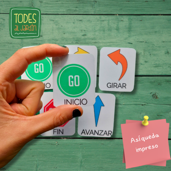 Tarjetas de comandos chicas IMPRESAS