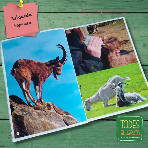 CABRAS - Libros que NO dan Respuestas - PDF - Imagen 5